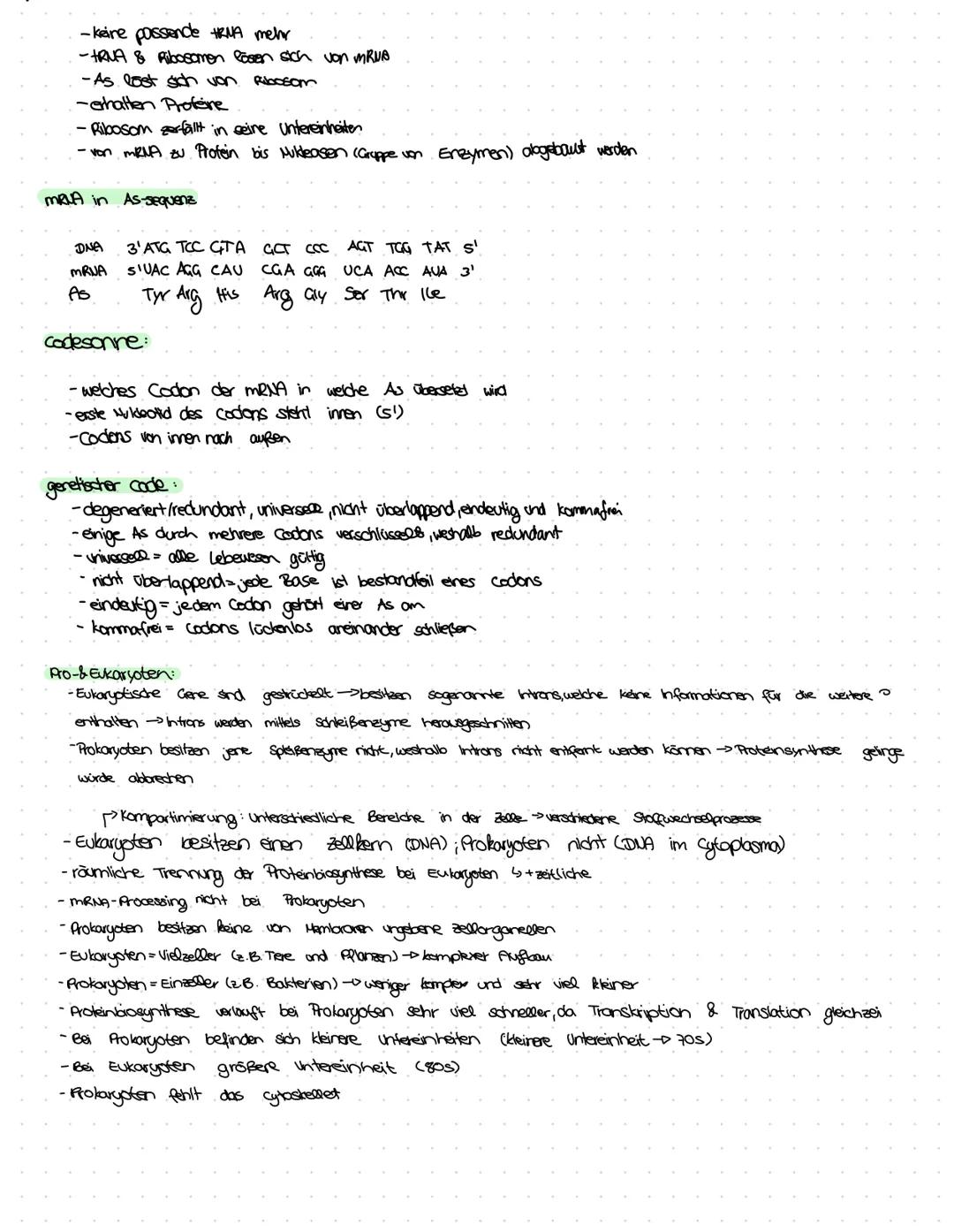 # Transkription:
-von DNA zum Herkmal
-Erlbinformationen werden alogeschrieben & dam in Proteine übersetzt
-Bildung von Proteinen an den Rib