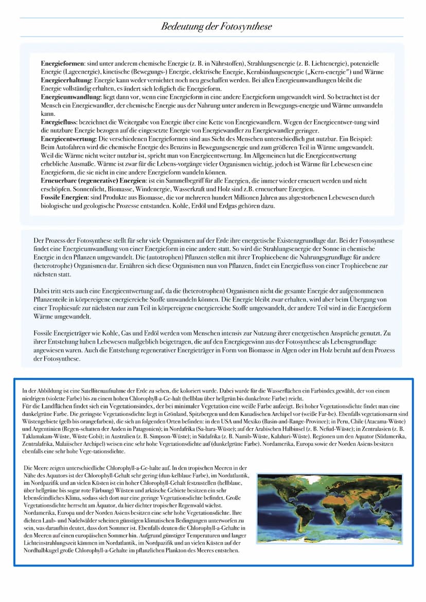 ABITUR: FOTOSYNTHESE
Biologie Leistungskurs in Niedersachsen
@worth.learning-H.H Bedeutung der Fotosynthese
Energieformen: sind unter andere