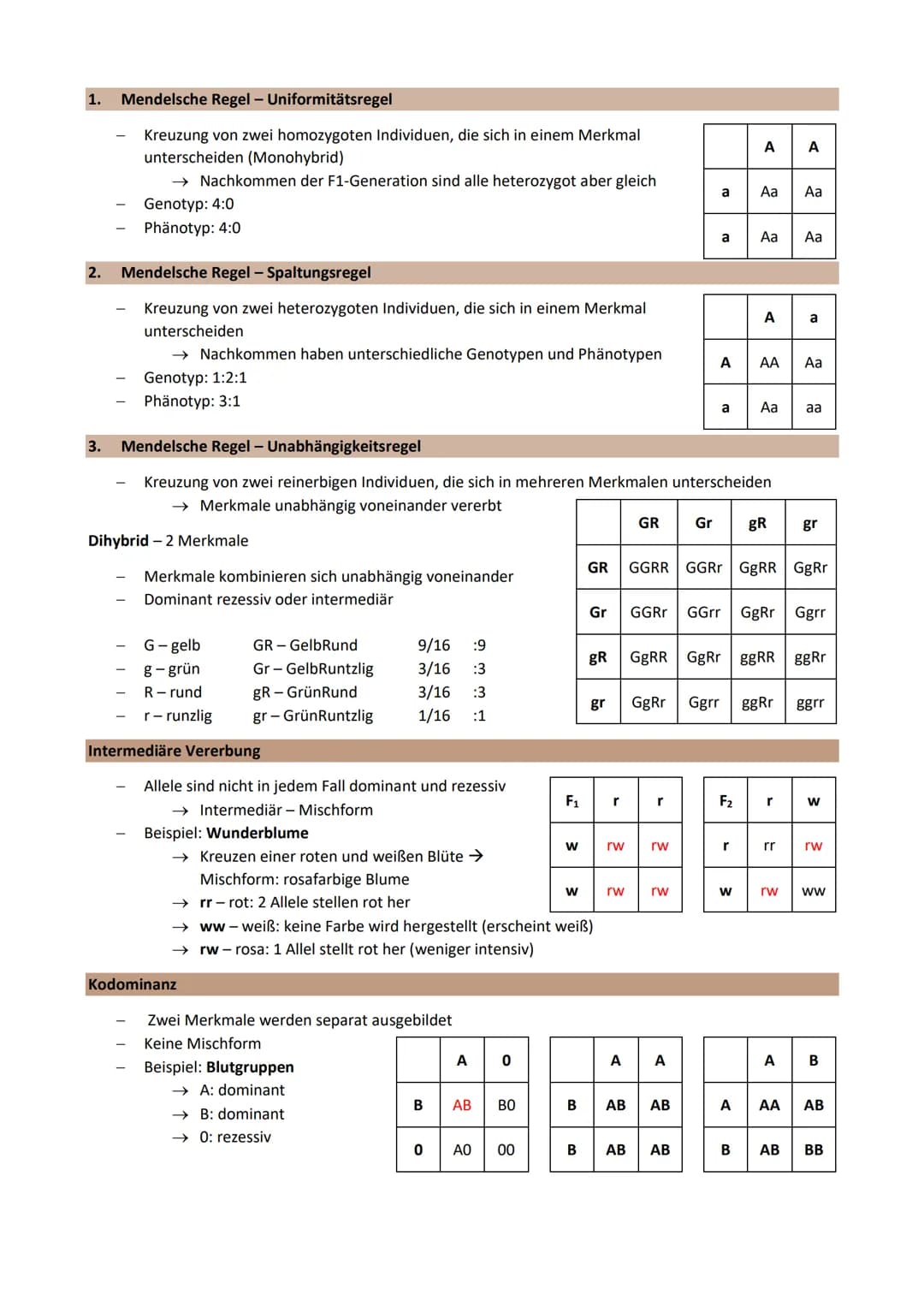 Thema 2: Genetik - Klassische Genetik
Chromosomentheorie
Erbinformation befindet sich auf den Chromosomen im Zellkern
1903 aufgestellt
Annah
