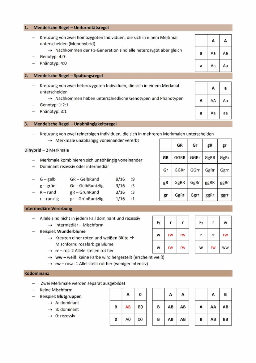 Thema 2: Genetik - Klassische Genetik
Chromosomentheorie
Erbinformation befindet sich auf den Chromosomen im Zellkern
1903 aufgestellt
Annah