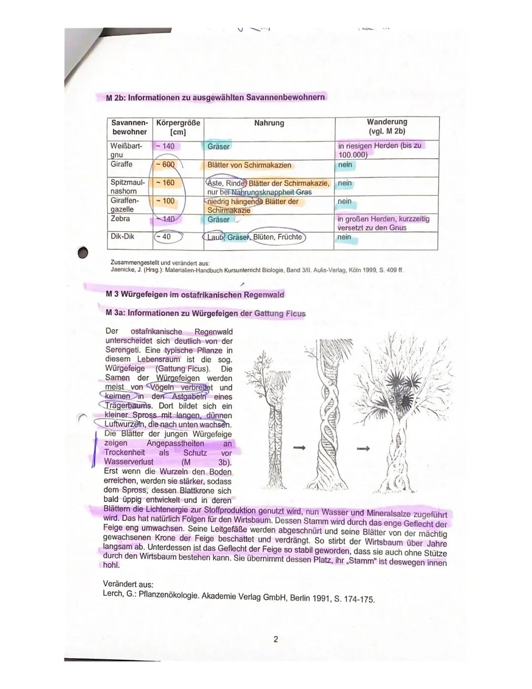 6
Biologie eA, Klausur 4 (270 Minuten)
Semester: 13/1
Mandlo
18. November 2020
Schuljahr 2020/21
Rohpunkte: 80/80
1. Halbjahr
Note: 15 Ple
N