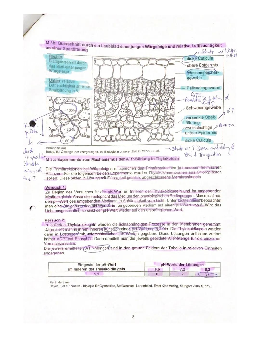 6
Biologie eA, Klausur 4 (270 Minuten)
Semester: 13/1
Mandlo
18. November 2020
Schuljahr 2020/21
Rohpunkte: 80/80
1. Halbjahr
Note: 15 Ple
N