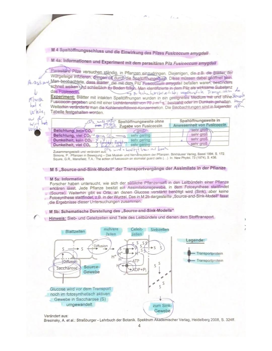 6
Biologie eA, Klausur 4 (270 Minuten)
Semester: 13/1
Mandlo
18. November 2020
Schuljahr 2020/21
Rohpunkte: 80/80
1. Halbjahr
Note: 15 Ple
N