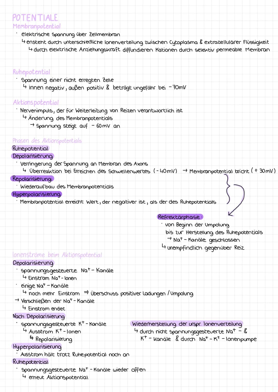 NERVENZELLE
Bau & Funktion
neurobiologie
vernetzte Nervenzellen sorgen für Informationsweiterleitung
↳ Sinnesorgane →Gehirn →Organe →Körperp