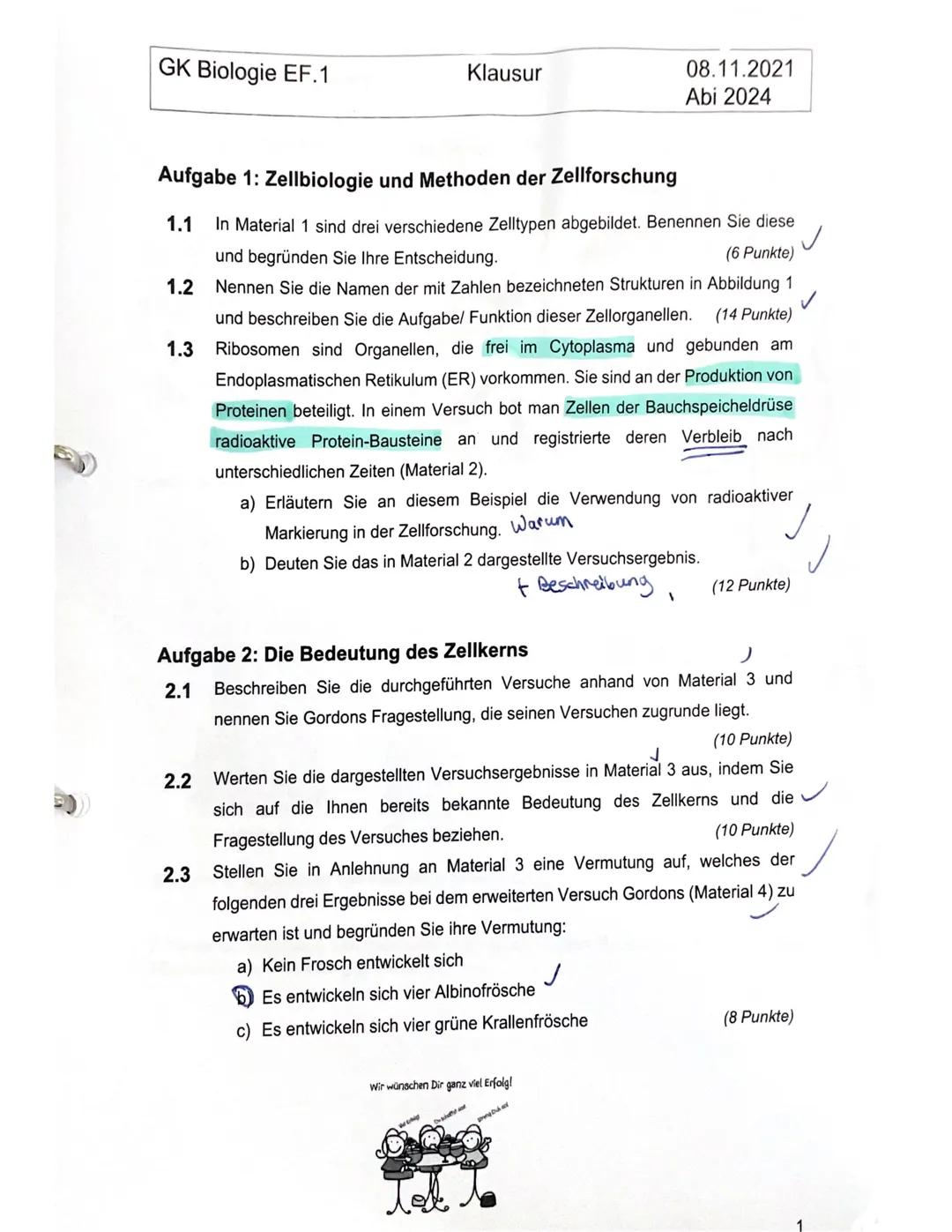 GK Biologie EF.1
1.3
Aufgabe 1: Zellbiologie und Methoden der Zellforschung
1.1
(6 Punkte)
In Material 1 sind drei verschiedene Zelltypen ab