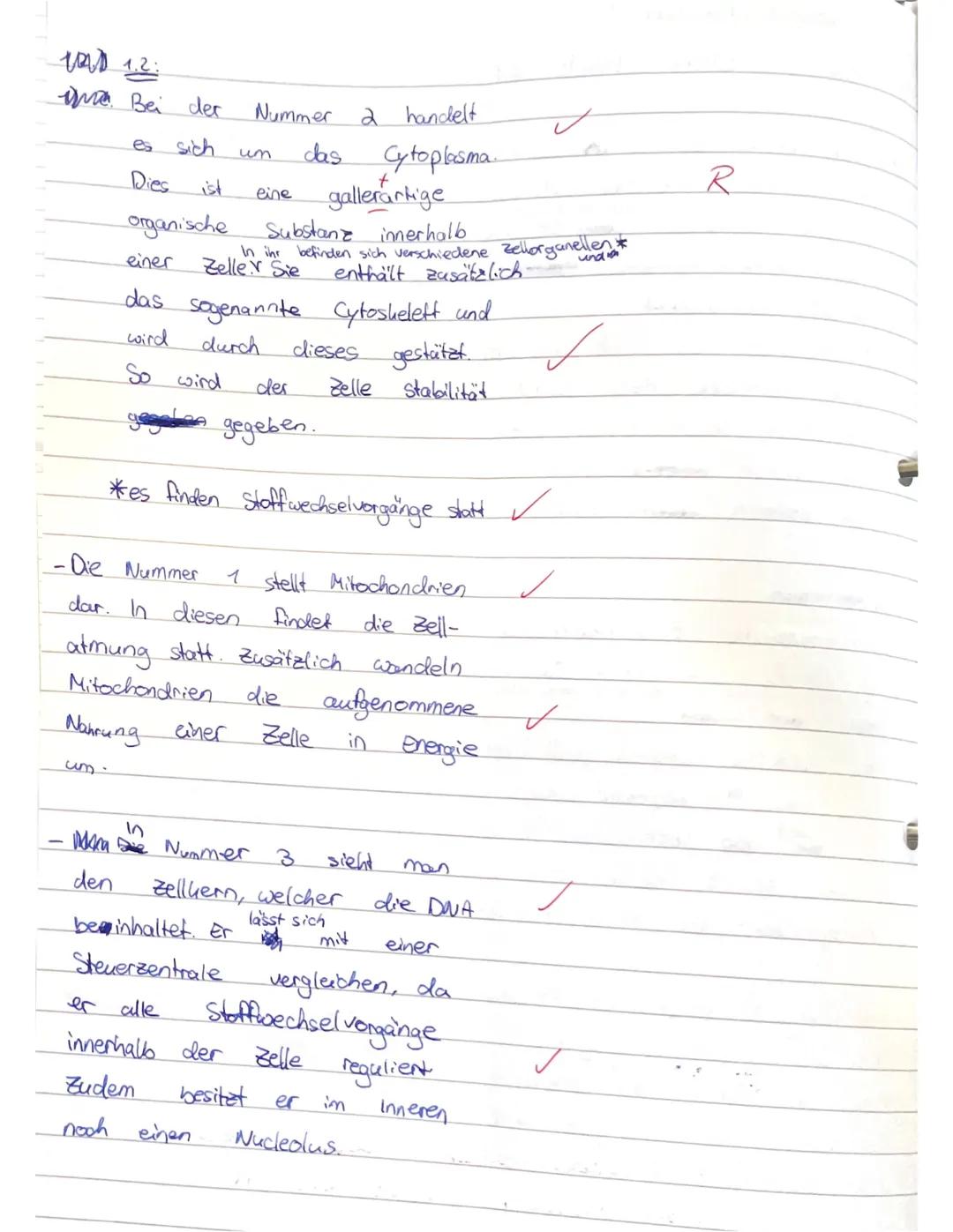 GK Biologie EF.1
1.3
Aufgabe 1: Zellbiologie und Methoden der Zellforschung
1.1
(6 Punkte)
In Material 1 sind drei verschiedene Zelltypen ab