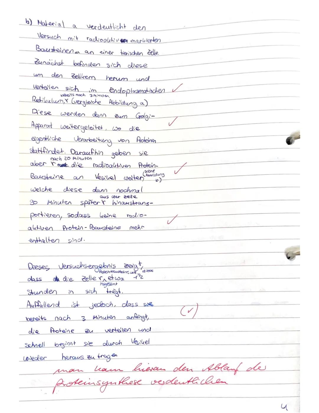 GK Biologie EF.1
1.3
Aufgabe 1: Zellbiologie und Methoden der Zellforschung
1.1
(6 Punkte)
In Material 1 sind drei verschiedene Zelltypen ab
