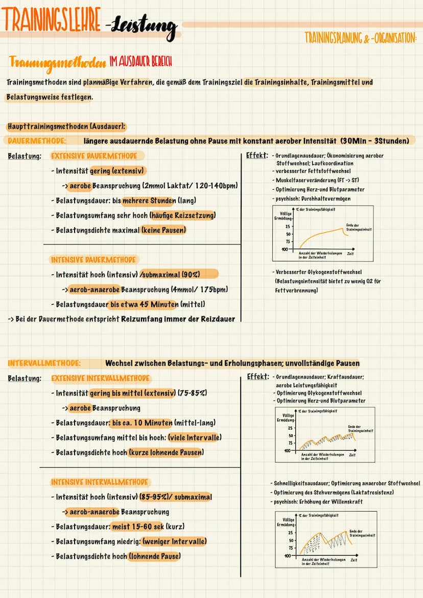 TRAININGSLEURE-Leistung
ANATOMISCHE & PHYSIOLOGISCHE GRUNDLAGEN
Der Stütz- und Bewegungsapparat lässt sich in einen aktiven und einen passiv