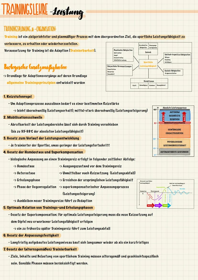TRAININGSLEURE-Leistung
ANATOMISCHE & PHYSIOLOGISCHE GRUNDLAGEN
Der Stütz- und Bewegungsapparat lässt sich in einen aktiven und einen passiv