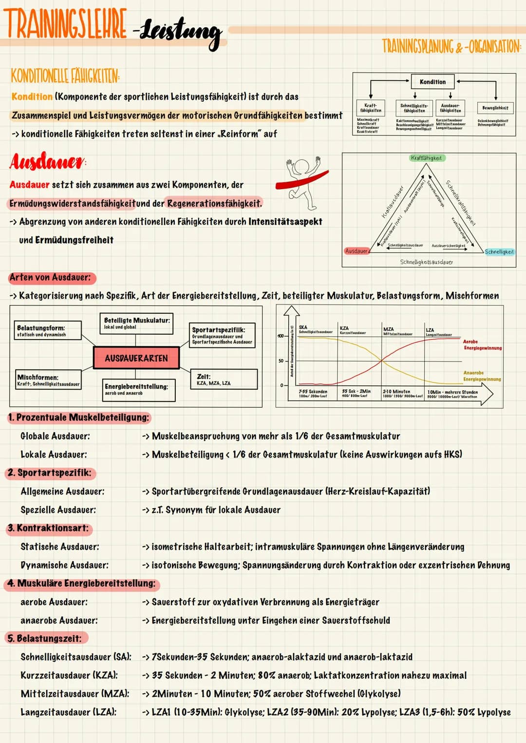 TRAININGSLEURE-Leistung
ANATOMISCHE & PHYSIOLOGISCHE GRUNDLAGEN
Der Stütz- und Bewegungsapparat lässt sich in einen aktiven und einen passiv