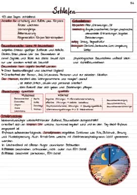 Know Schlafen thumbnail