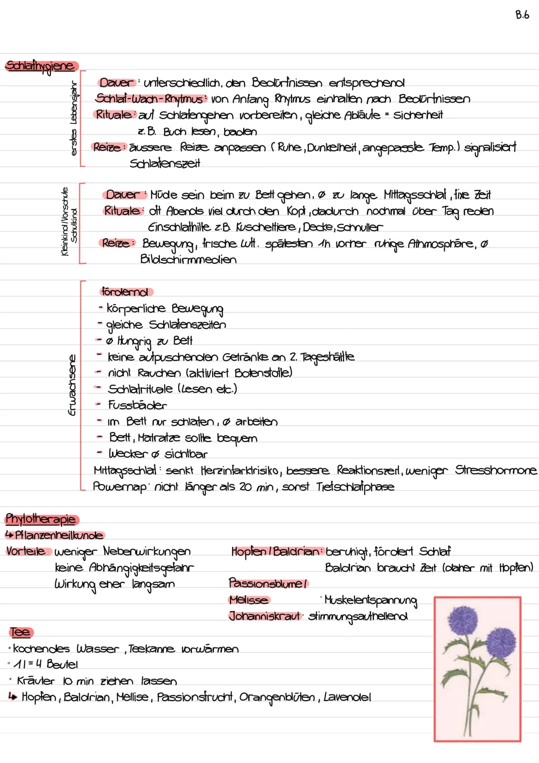 1/3 des Tages schlalend
Schlafen für Erhohlung und Aufbau des Körpers
Kinder wachsen
Schlafen
Lernvorgänge
Zellerneverung
Regeneration Körpe