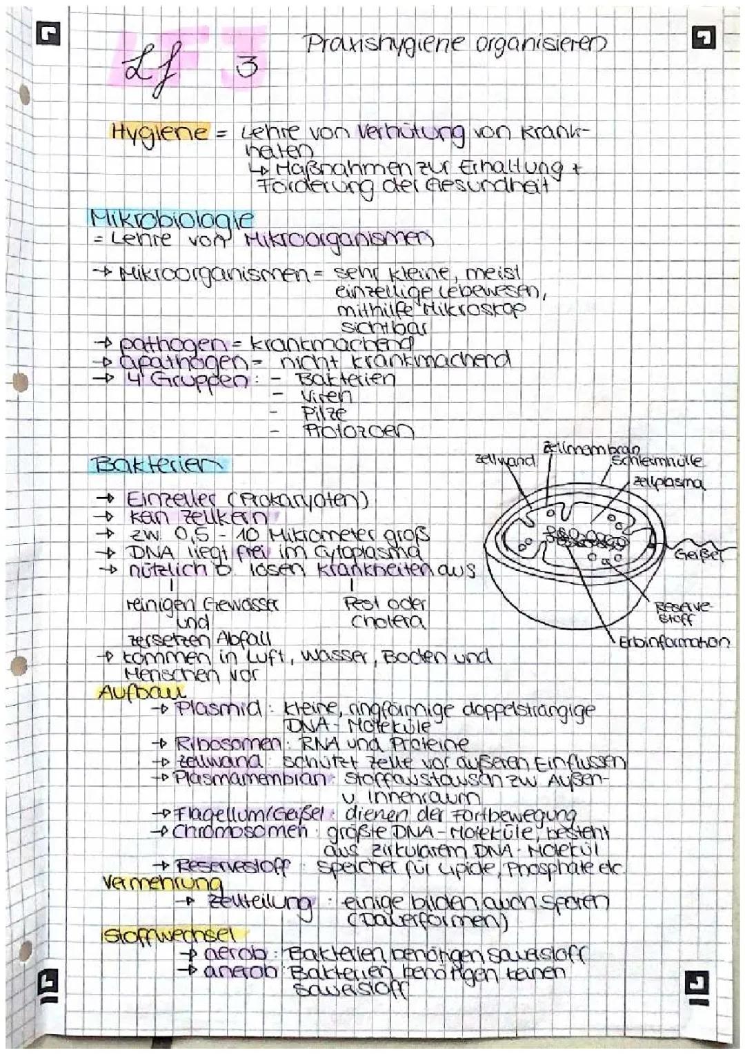 LF 3 Praxishygiene organisieren