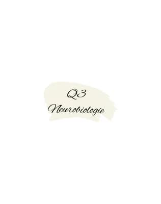 Know Q3 Neurobiologie thumbnail