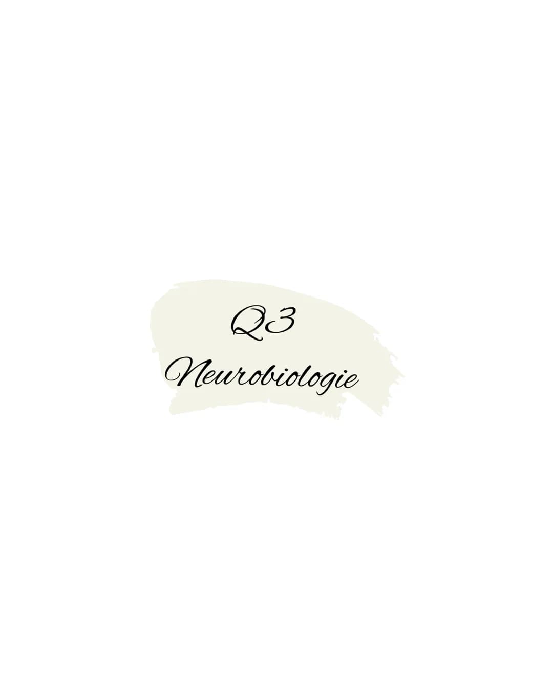 Q3
Neurobiologie BIOLOGY Abitur Checkliste - Themenübersicht
Neurobiologie
Bau und Funktion der Nervenzelle: Ruhepotenzial, Aktionspotenzial