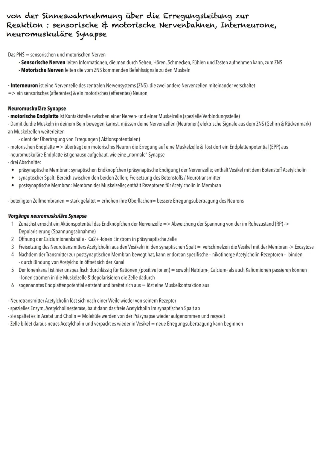 Q3
Neurobiologie BIOLOGY Abitur Checkliste - Themenübersicht
Neurobiologie
Bau und Funktion der Nervenzelle: Ruhepotenzial, Aktionspotenzial
