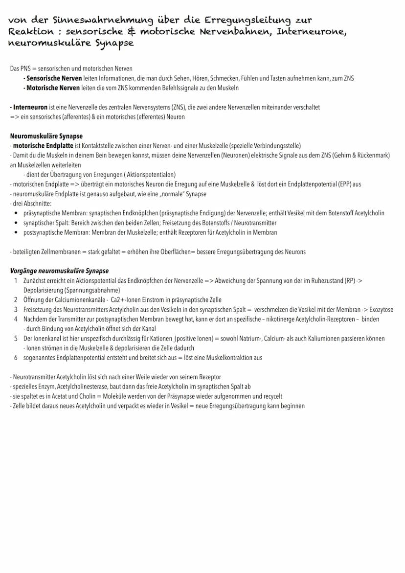 Q3
Neurobiologie BIOLOGY Abitur Checkliste - Themenübersicht
Neurobiologie
Bau und Funktion der Nervenzelle: Ruhepotenzial, Aktionspotenzial
