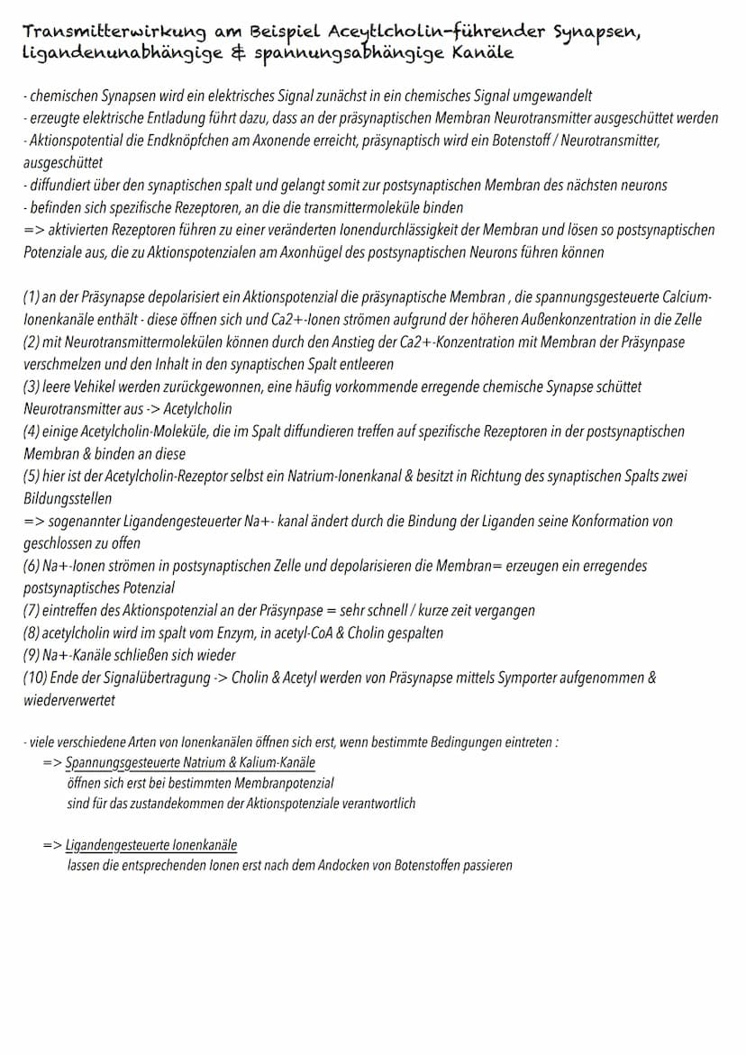 Q3
Neurobiologie BIOLOGY Abitur Checkliste - Themenübersicht
Neurobiologie
Bau und Funktion der Nervenzelle: Ruhepotenzial, Aktionspotenzial