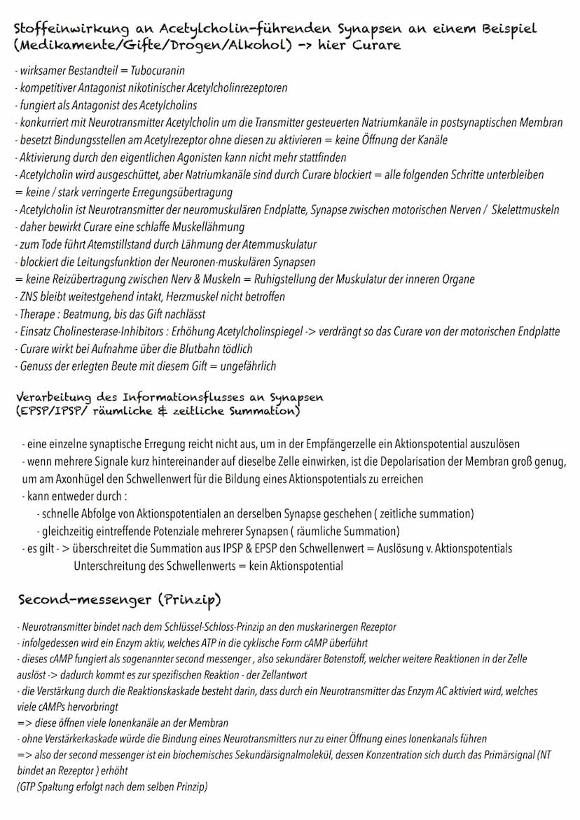 Q3
Neurobiologie BIOLOGY Abitur Checkliste - Themenübersicht
Neurobiologie
Bau und Funktion der Nervenzelle: Ruhepotenzial, Aktionspotenzial