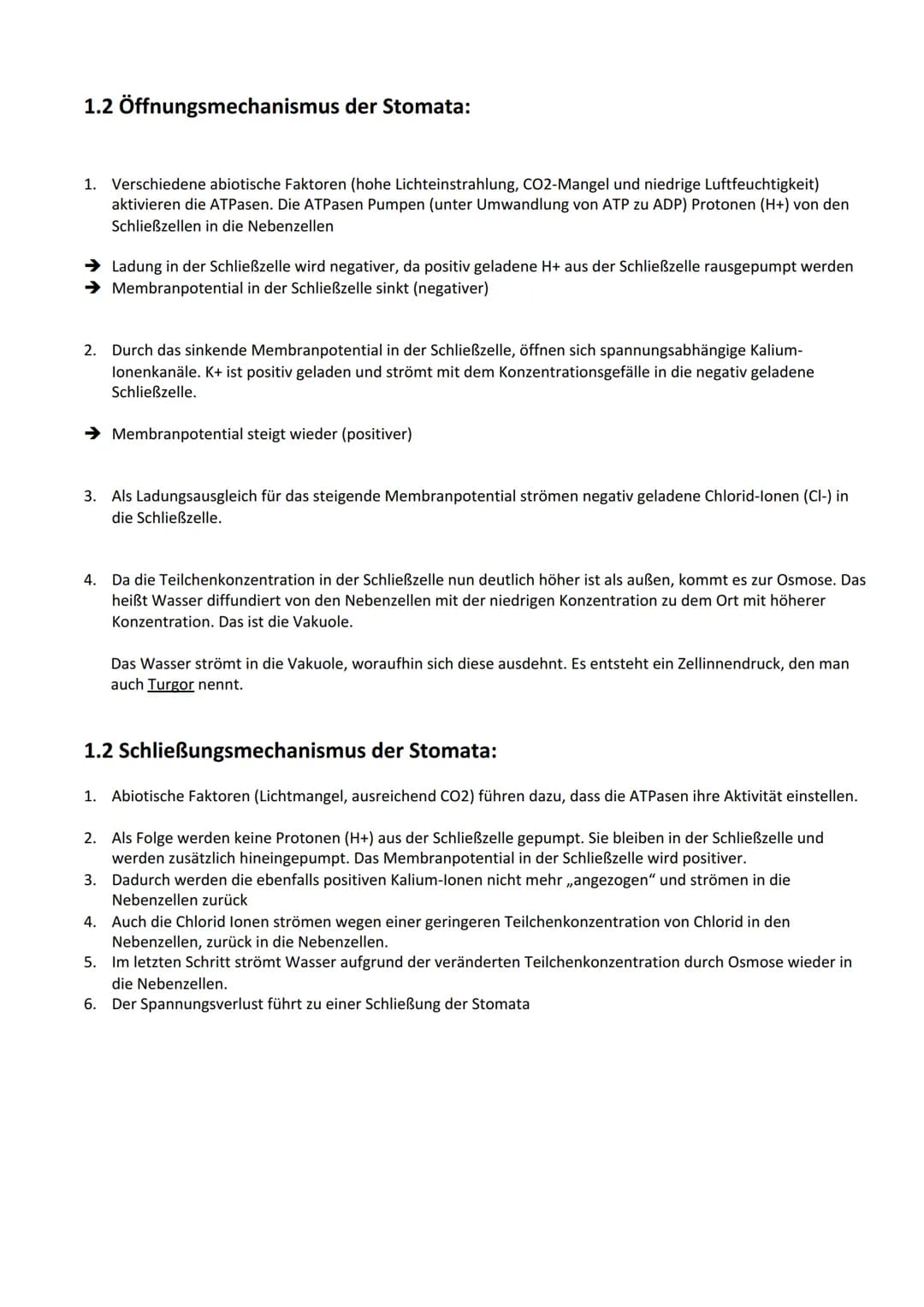 Photosynthese:
Biologie Lernzettel: Photosynthese
1. Vorbereitung Photosynthese
1.1. Blattaufbau
1.2. Stomata..
2. Definition Photosynthese.