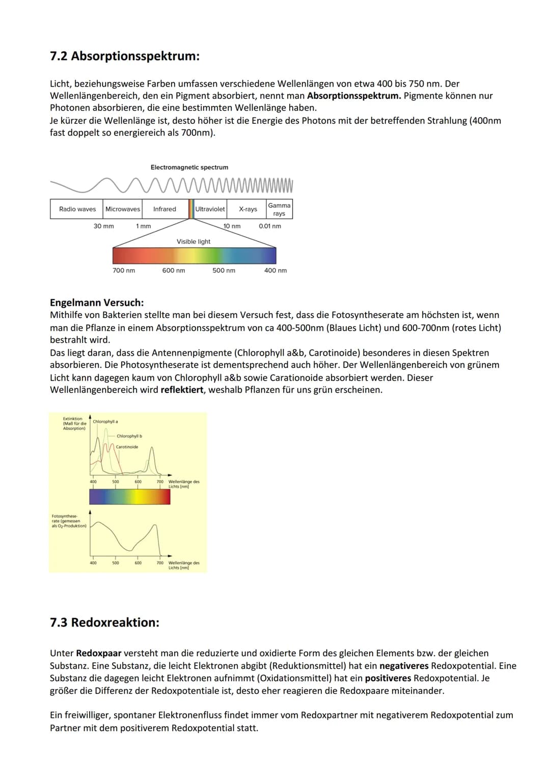 Photosynthese:
Biologie Lernzettel: Photosynthese
1. Vorbereitung Photosynthese
1.1. Blattaufbau
1.2. Stomata..
2. Definition Photosynthese.