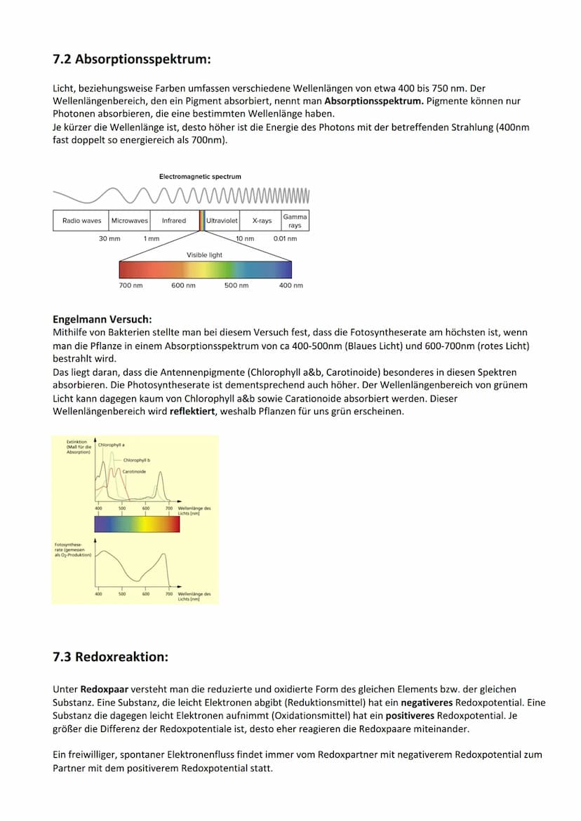 Photosynthese:
Biologie Lernzettel: Photosynthese
1. Vorbereitung Photosynthese
1.1. Blattaufbau
1.2. Stomata..
2. Definition Photosynthese.