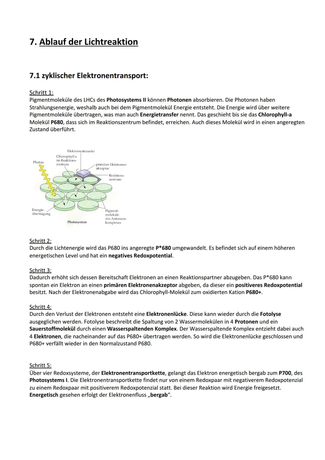 Photosynthese:
Biologie Lernzettel: Photosynthese
1. Vorbereitung Photosynthese
1.1. Blattaufbau
1.2. Stomata..
2. Definition Photosynthese.