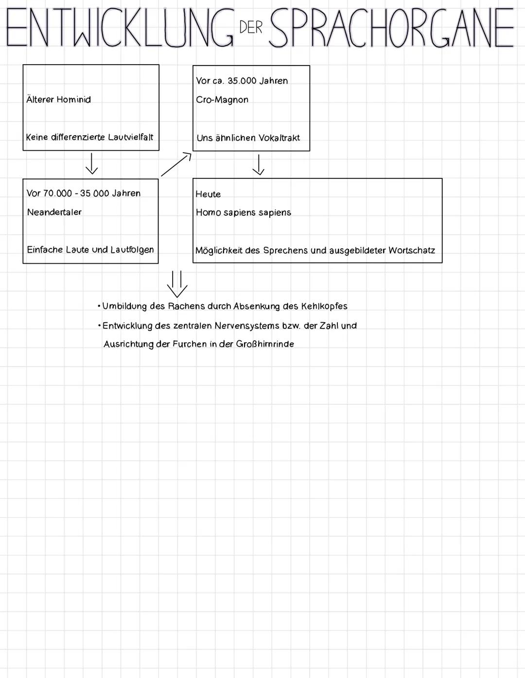 # FUNKTION + MERKMALE DER SPRACHE

# FUNKTION

Kommunikation und Verständigung

Emotionen ausdrücken

Eigene Persönlichkeit ausdrücken

Info