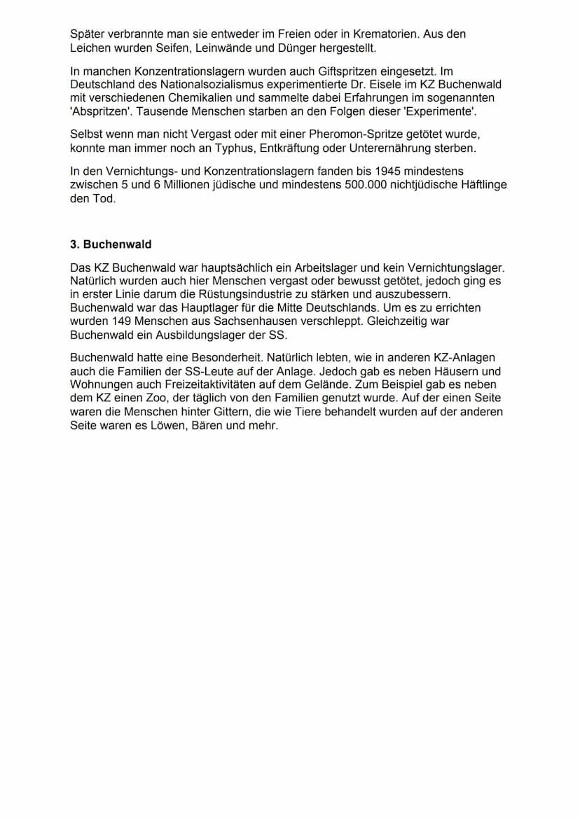 Solche Artikel über die ersten Konzentrationslager waren übrigens keine Seltenheit.
Die Verfolgung der politischen Gegner und die Einrichtun
