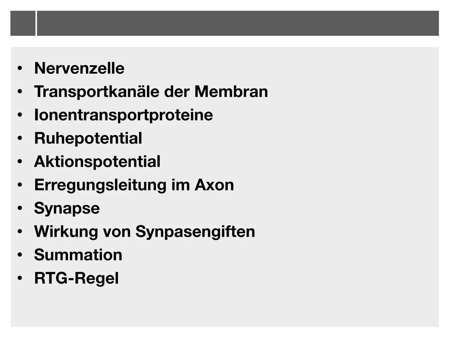 Biologie J2.1
000
00. 00
-
ooo
Neurophysiologie
-klausurzusammenfassung -
WARRE
oooooo ●
●
●
●
●
●
Synapse
• Wirkung von Synpasengiften
Summ