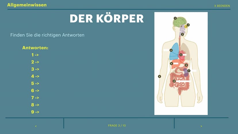 234
765
< ZURÜCK
10
234
765
10
8
765
von Sophie
234
FRAGE 0 / 10
10
8
765
EINSTELLUNGSTEST
234 Allgemeinwissen
Deutschland
Russland
China
In