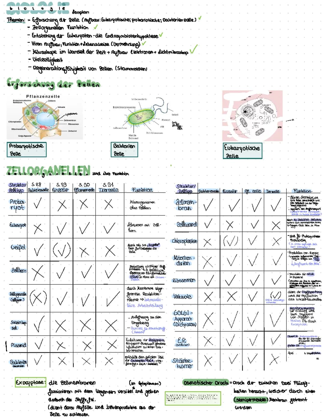 Erforschung der Zelle