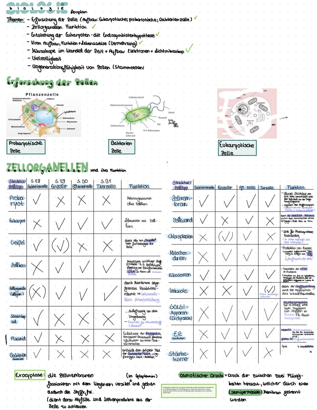 biolo gie
Lemplan
Themen- &forschung do Zelle (Aufbow: Eukaryotische; prokariotische; Bakterien zelle)
•Zellorganellen Funktion ✓
Erforschun