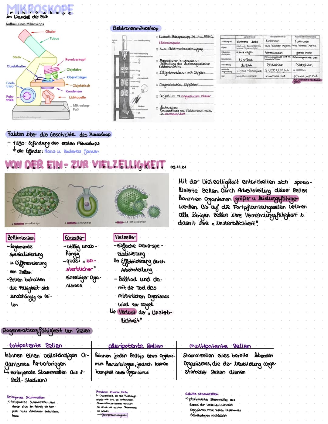 biolo gie
Lemplan
Themen- &forschung do Zelle (Aufbow: Eukaryotische; prokariotische; Bakterien zelle)
•Zellorganellen Funktion ✓
Erforschun