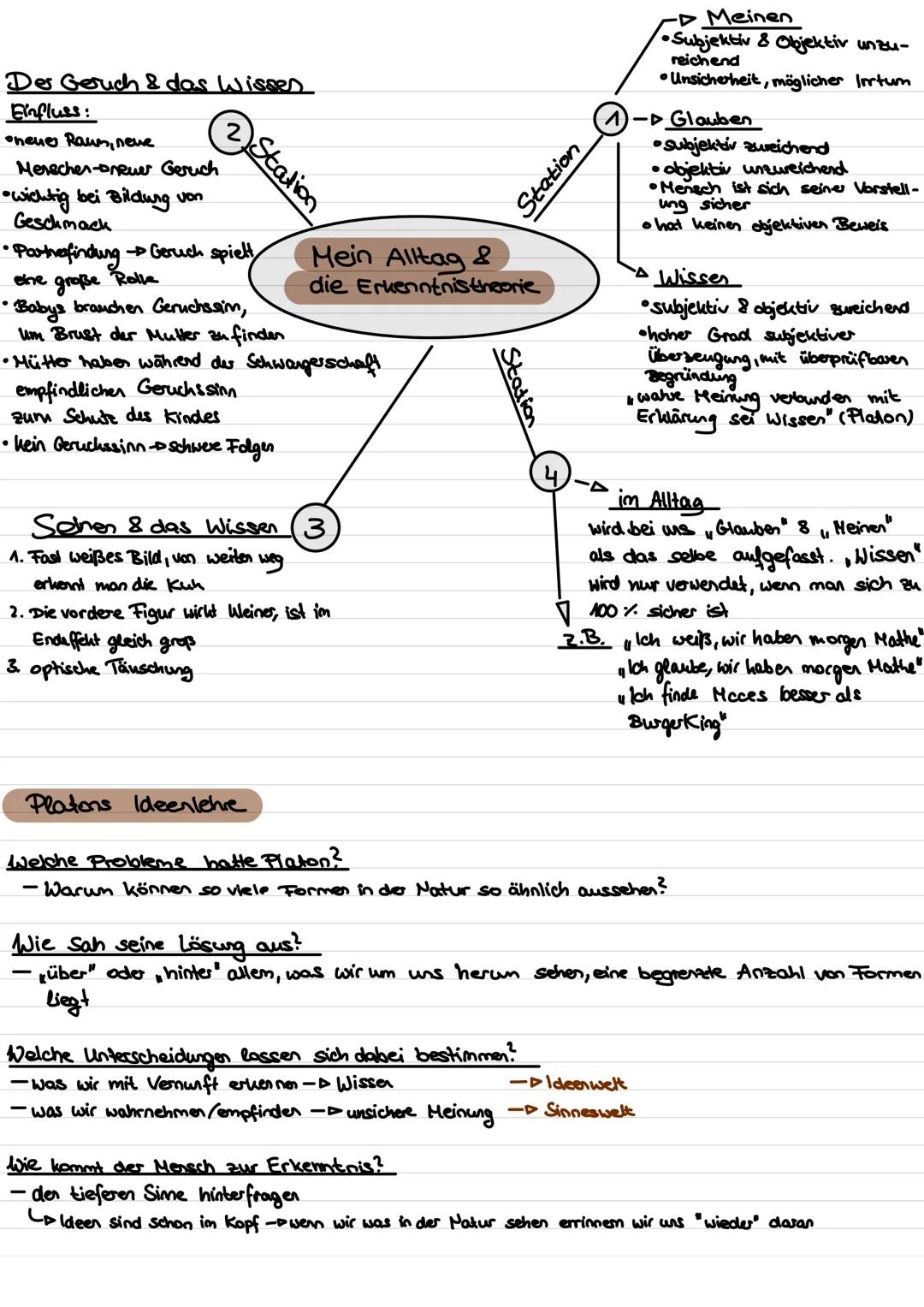 Erkenntnistheorie Der Geruch & das Wissen
Einfluss:
- oneue Raum, neve
- Merscher-Breuer Geruch
- •wichtig bei Bildung von
Geschmack
(2) Sta