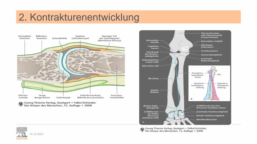 ELSEVIER
Kontrakturenprophylaxe
Unterrichtspräsentation zu:
Pflege Heute
7. Auflage
Kapitel 9.7 Kontrakturenprophylaxe
Erarbeitet von P. Jes