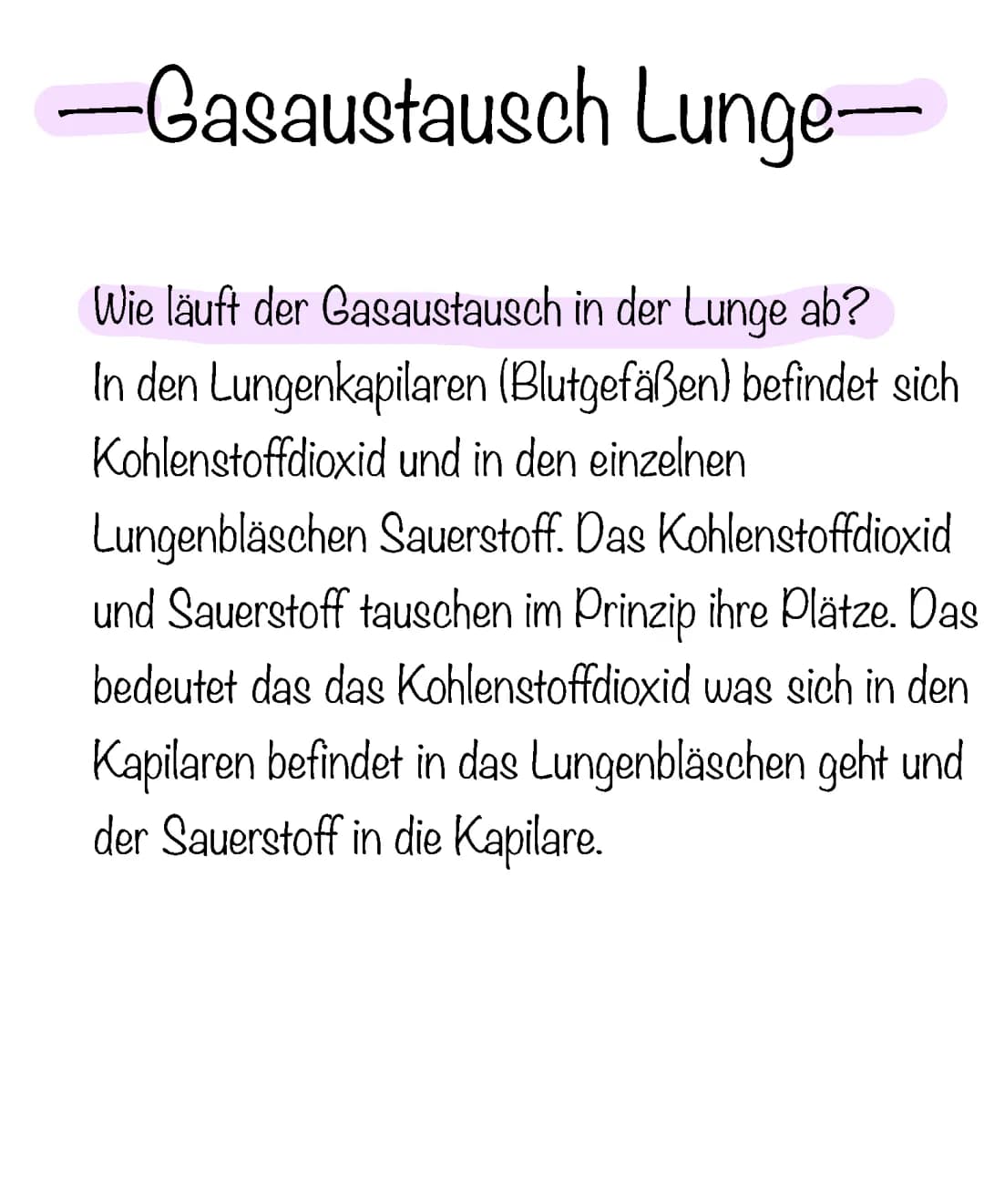 Gasaustausch Lunge