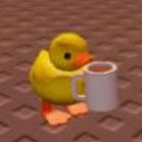 user profile picture