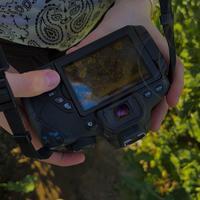 user profile picture