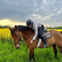 user profile picture