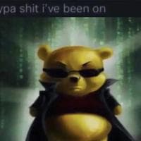user profile picture