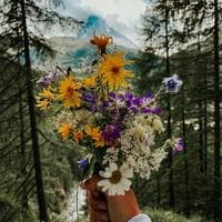 user profile picture