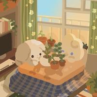 user profile picture