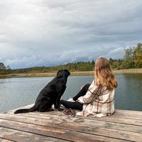 user profile picture