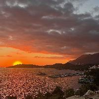 user profile picture