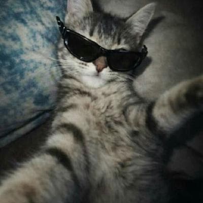 user profile picture