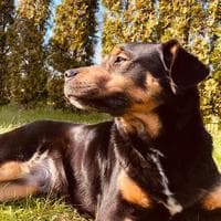 user profile picture