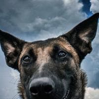 user profile picture