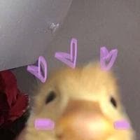 user profile picture