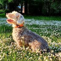 user profile picture